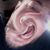 Jason Berrong's profile image