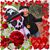 Caterina Katechis's profile image