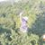 Kim Flavin Taube's profile image