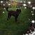 Connie Saltis's profile image