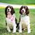 Marianne Oliver's profile image