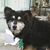 Ann Nalle's profile image