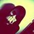 Orane Guenni's profile image