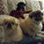Stacy Hafer's profile image