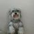 Tasha Lvp's profile image