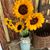 Susie Boyd Marteney's profile image