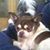 Linda Sadusky's profile image