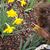 Patty Duggle's profile image