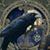 Raven Moonowl's profile image