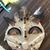 Eydie Guerrero's profile image