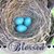 Brenda Taylor's profile image