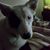 Joseph Derosier's profile image