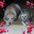 Tina Fadale's profile image