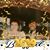 Tammy Loupe's profile image