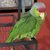 Jeff Fetter's profile image