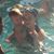 Kelly Galloway Smith's profile image