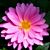 Deborah Trobaugh's profile image