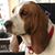 Lamont R Satterly's profile image