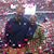 Kim Hall Phieler's profile image
