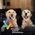 Kelly Gudel Johnson's profile image