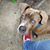 Marylou Edmondson's profile image
