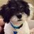 Bobbi Jo de Leon's profile image