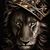 Shun Taylor's profile image