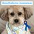 Lisa K. Kuehl's profile image