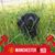 Mary Elizabeth Daniel's profile image