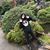 Robin Anwyl's profile image