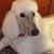 Linda Labelle's profile image