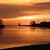 Wendy Griese's profile image