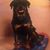 Amanda Ray Nichols's profile image