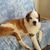 Ron Washburn's profile image