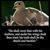 Patti H Morrow's profile image