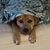 Donna Henry's profile image