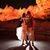 Kristi Ward's profile image