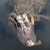 Thomas Oliver's profile image