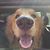 Sherry Aase-Bingham's profile image