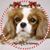 Betty MacBryde Barkley's profile image