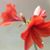 Cathy A Griseto's profile image