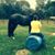 Tammy Diane Richards's profile image