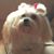Mariela Cajiga's profile image