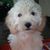 Steffannie Farfan's profile image