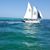 Carol Tyson Guarino's profile image