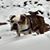 Winster McGinster's profile image