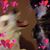 Debo Debowski's profile image