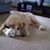 Vicki Krause's profile image
