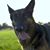 Michael Allen Lewark's profile image
