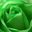 Kaki Le's profile image